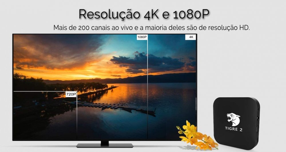 Tigre 2 2nd Brazil IPTV Android TV Box Brasil IPTV HTV Box 5 Updated Brazilian Box htv5 Canal Brazil Box IPTV8 4k More Then 300 Live Brazilian BTV IP TV Channels, Movies Show